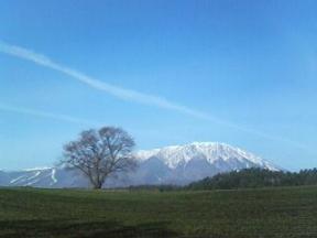 秋の岩手山.jpg