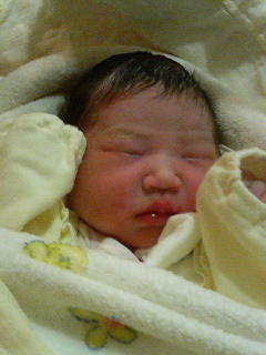 2008-04-26 22:47:22