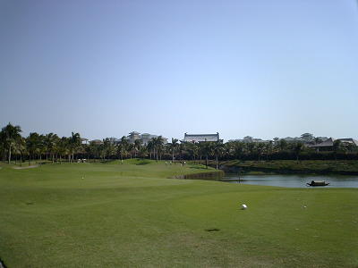 green1.JPG