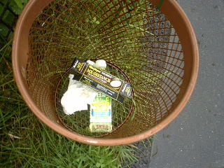 mass.JPG