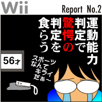 wii_report_02.gif