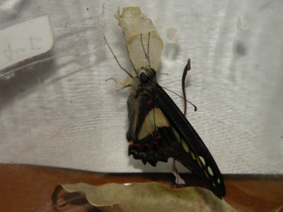 DSCN2123.jpg