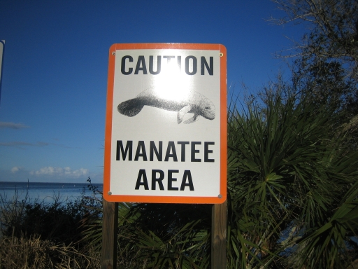 Merritt Island Wildlife Preserve 08-01 Manatee Area.jpg