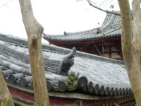 sany0020鳳凰堂の瓦.jpg