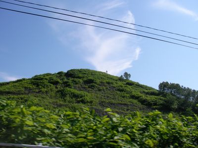 ボタ山跡