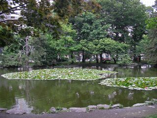 道庁内の池