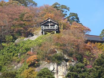 山寺