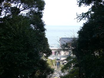 神社からみた海