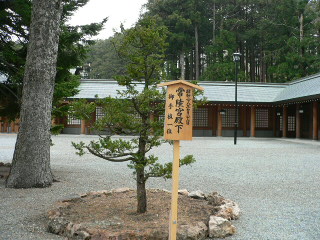 常陸宮殿下御手植一位