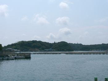 島