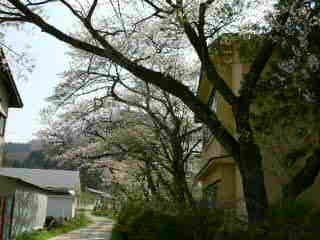 田中温泉