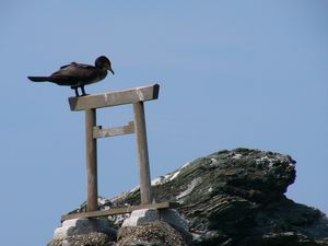 夫婦岩のてっぺん