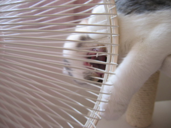 扇風機１