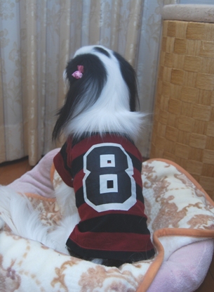 1205-5.jpg