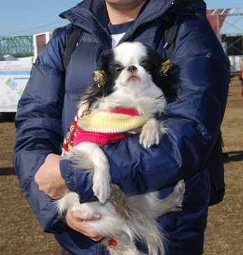 0111-11.jpg