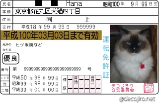 Hana免許.jpg