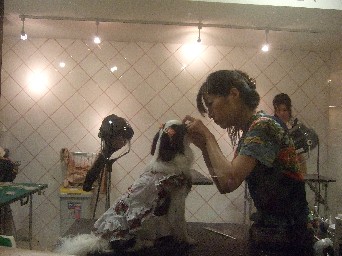 0717-8.jpg