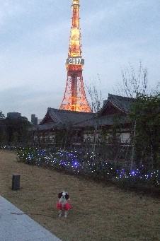 0101-7.jpg