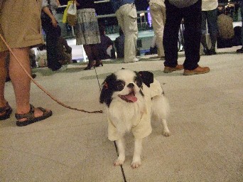 0605-7.jpg