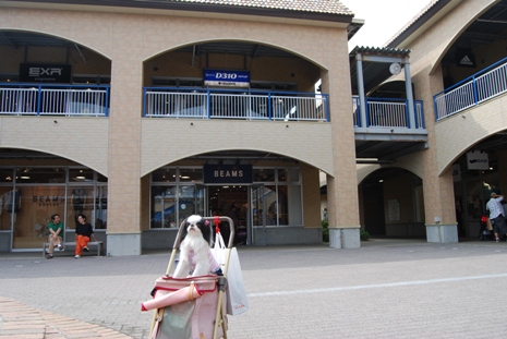 0620-8.jpg