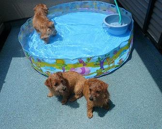カイザー・サリー・ローラ