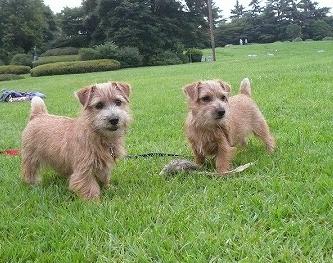 サリー＆ローラ