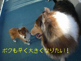 マーク＆マティック