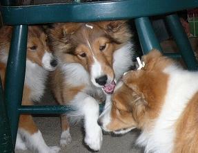 マーク・レオン・ジェニー