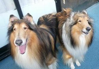 ラッセル＆ボブ