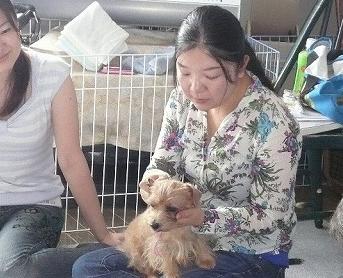 マッサージ教室