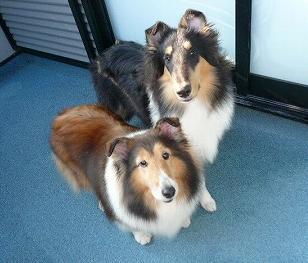 ベル＆ショパン