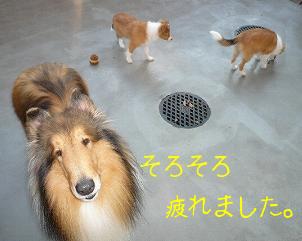 ロック＆ジェニファー・マーク