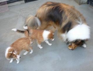 ロック＆ジェニファー・マーク