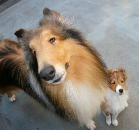 ロック＆マーク