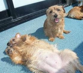 キーラ＆ケリー