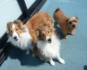 ジェニー・マーク・ジェラ