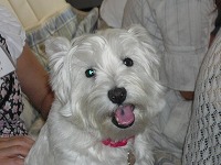 くりりんちゃん