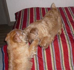 吉右衛門&カイザー