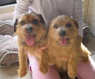 虎太郎＆ジーナ