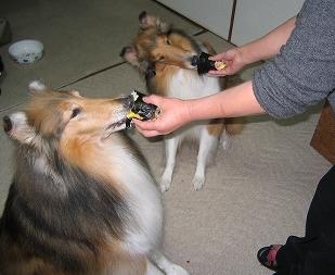 ラスティ＆ルーシー