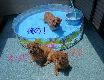 カイザー・サリー・ローラ