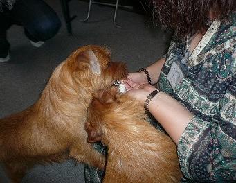 ルルちゃん&ローラ