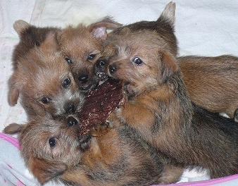 おやつタイム♪