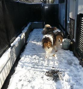 エコー＆ロック