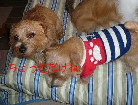 ジーナ＆リジー