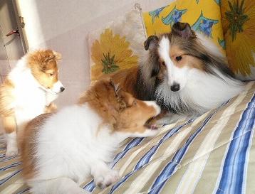 ジェイ＆マーク・ジェニー