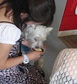 くりりんちゃん