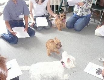 マッサージ教室