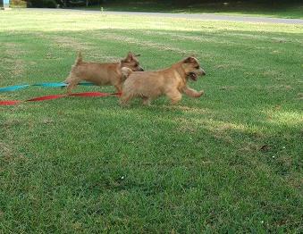 サリー＆ベリー