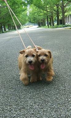 サリー＆ベリー